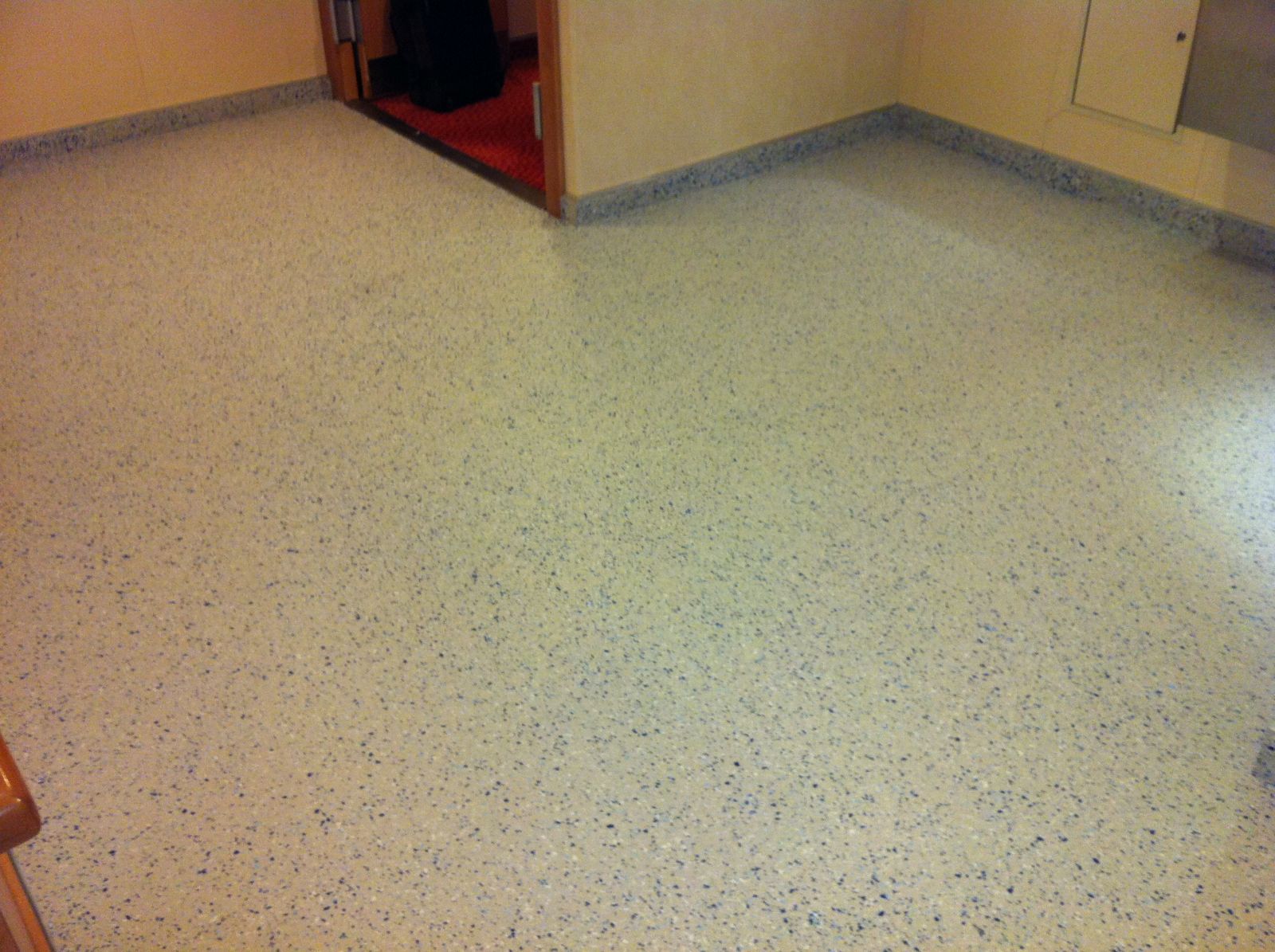 Seamless Flooring